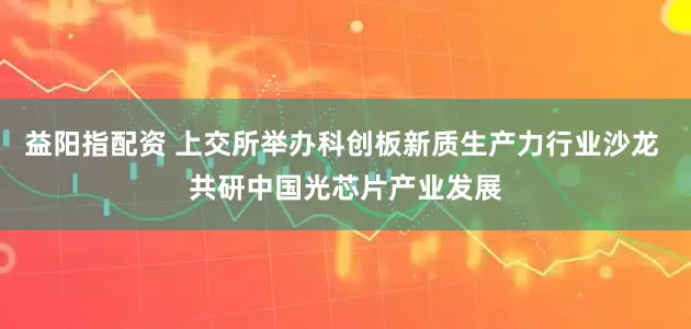 益阳指配资 上交所举办科创板新质生产力行业沙龙 共研中国光芯片产业发展
